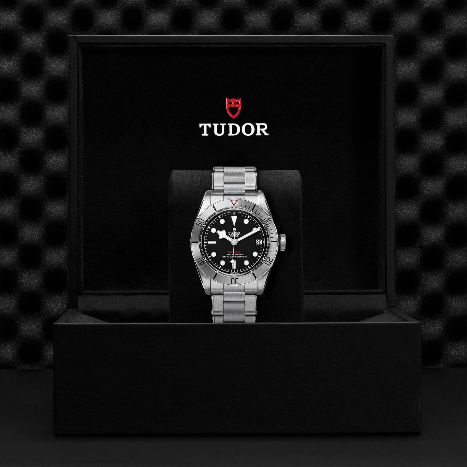 TUDOR Black Bay Steel 41 Steel M79730-0006 - Image 4